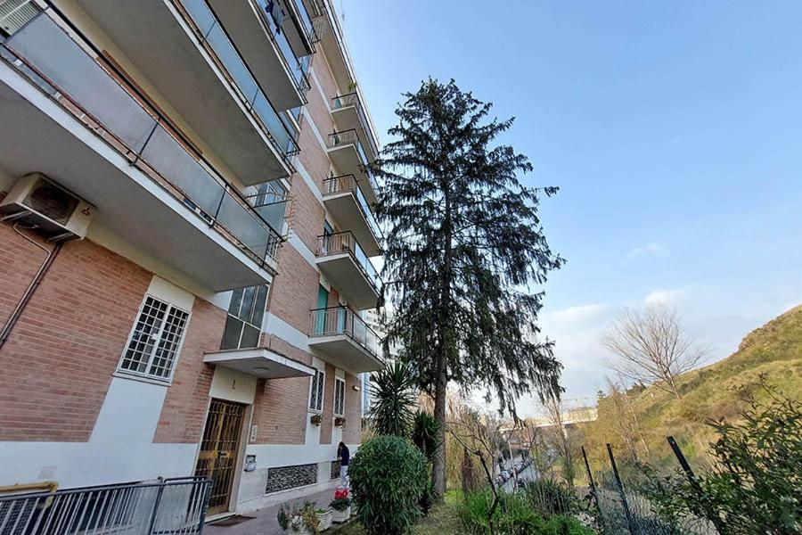 La Casa Di Flavia Ξενοδοχείο Ρώμη Εξωτερικό φωτογραφία